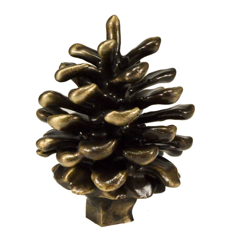 TimberBronze53,LLC Lodgepole Pine Cone Novelty Knob Wayfair